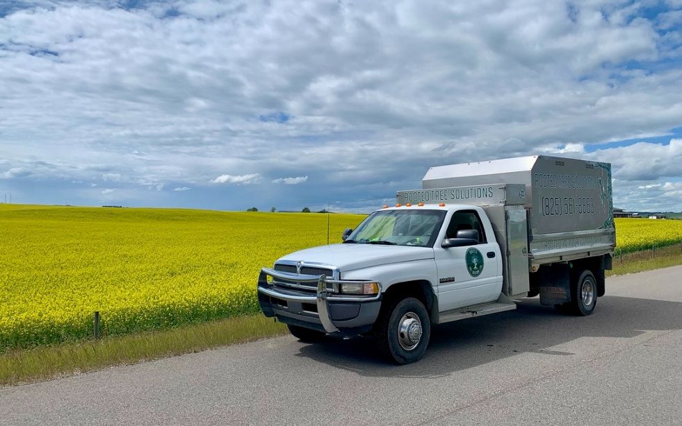 Rooted Tree Solutions Lightbox Image of Nick Gratton, arborist, hard at work maintaining a tree's health.